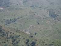 N213HT photo, click to enlarge