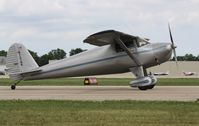 N1318K @ KOSH - Luscombe 8A - by Mark Pasqualino