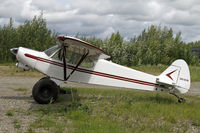N6191R @ 95Z - Another Cub version - by Duncan Kirk