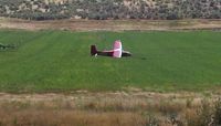 N6399B - Crashed in a hay field. - by Petey