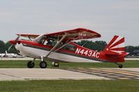 N443AC @ KOSH - American Champion 7GCAA - by Mark Pasqualino