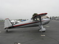 N77L @ SZP - 1948 Luscombe 8A, Continental C90 90 Hp upgrade to 8F SILVAIRE engine from original 65 Hp, custom loaded panel, re-visitor from Oregon - by Doug Robertson