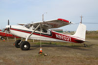 N9203T @ 94Z - Want Cessna 180's?  Go to Alaska! - by Duncan Kirk