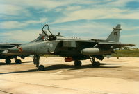XZ369 @ LMML - Jaguar GR3 XZ369/EF 54Sqd RAF - by raymond