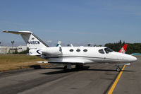 N416CM @ PAE - Basking in the afternoon sun on Castle & Cooke's ramp - by Duncan Kirk