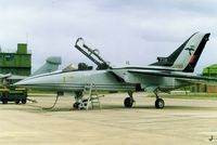 ZE339 @ EGQS - RAF Panavia Tornado F.3 ZE339 of 25 Sqn pictured in Special Marks at RAF Lossiemouth (EGQS) in July 1992 - by Clive Pattle