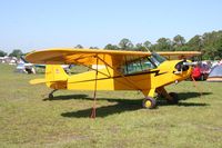 N77PC @ LAL - Piper J3C