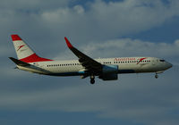 OE-LNR @ LOWW - Austrian Boeing 737 - by Thomas Ranner
