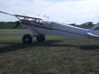 N8439Y @ I73 - SUPER CUB