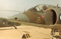 XV758 - Close up of nose showing the Harrier Conversion Unit logo. - by G-ANWX