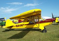 N44WY @ KOSH - Aviat A-1C-180