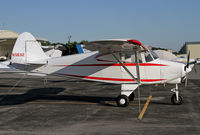 N5631Z @ DMW - Fine example of a Tri-Pacer - by Duncan Kirk