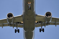 OE-LBP @ LOWW - Austrian Airlines Airbus 320