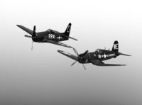 N224RD @ KNTU - Bearcat and Corsair flying in formation with a sound that was pure music to my ears. - by Gregg Stansbery