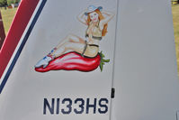 N133HS @ OSH - Tail motif on 2000 Grover Ronald D RV8, c/n: 80133 at 2011 Oshkosh - by Terry Fletcher