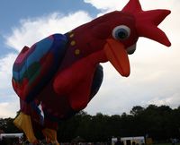 PH-AAN - Cockerel - by ghans