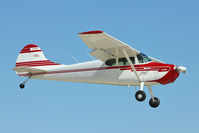 N2386D @ OSH - 1952 Cessna 170B, c/n: 20538 at 2011 Oshkosh - by Terry Fletcher