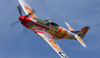 N151D @ RTS - closer look at this mustang - by olivier Cortot