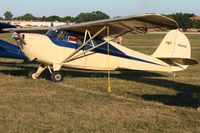 N36562 @ KOSH - Airventure 2011.