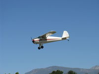 N45488 @ SZP - 1946 Luscombe 8A, Continental A&C65 65 Hp, on final Rwy 22 - by Doug Robertson