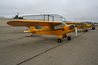 N42478 @ KLPC - Lompoc Piper Cub fly in 2011 - by Nick Taylor Photography
