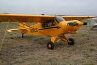 N118CC @ KLPC - Lompoc Piper Cub fly in 2011 - by Nick Taylor Photography
