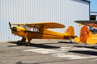 N98425 @ KLPC - Lompoc Piper Cub fly in 2011 - by Nick Taylor Photography