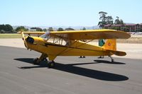 N4C @ KLPC - Lompoc Piper Cub fly in 2011 - by Nick Taylor Photography
