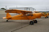 N3600M @ KLPC - Lompoc Piper Cub fly in 2011 - by Nick Taylor Photography