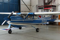 D-EEXX @ FDH - great cardinal
