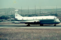 XV231 @ LMML - Nimrod XV231 RAF - by raymond