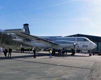 250 photo, click to enlarge
