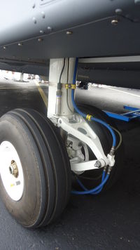 N146UK @ KOQN - Port main gear and brake hoses - by George A.Arana