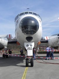 250 photo, click to enlarge
