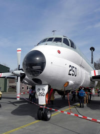 250 photo, click to enlarge