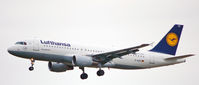 D-AIZG photo, click to enlarge