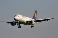 D-AILE @ EGCC - Lufthansa - by Chris Hall