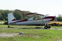 N561AT @ I19 - 1956 Cessna 180