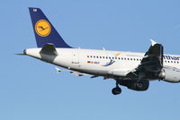 D-AILU @ EBBR - Arrival of flight LH1008 to RWY 02