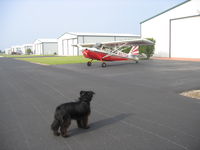 N571SA @ 16X - Faithful dog watching Super Decthlon departure - by E.Oltheten