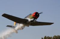 N81817 - Nanchang CJ-6A