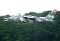AT18 @ EBBL - European Trainers Meet 2005.25 YEARS A-JET Grey camo - by Robert Roggeman