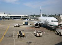 N557AS @ KSEA - Alaska Airlines Boeing 737-890 at gate near North Satellite terminal