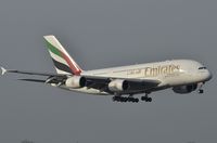 A6-EDE @ EGCC - Airbus A380 - by Jaroslaw Pieprzyk