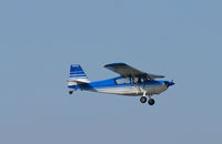 N1808G @ KCCR - Locally-based 1968 Champ 7ECA on approach to RWY 1L @ Concord, CA - by Steve Nation