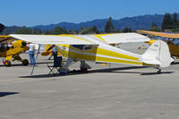 N43689 @ KWVI - 1946 Taylorcraft BC12D @ Watsonville, CA Fly-In - by Steve Nation