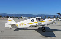 N74360 @ KWVI - 1947 Bellanca 14-3-2 taxying @ Watsonville, CA Fly-In - by Steve Nation