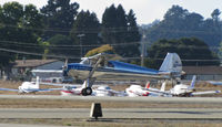 N1298B @ KWVI - 1977 Luscombe 8E landing @ Watsonville Fly-In - by Steve Nation