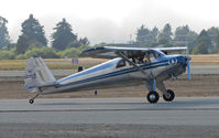 N1298B @ KWVI - 1977 Luscombe 8E painted as NC1298B landing @ Watsonville Fly-In - by Steve Nation