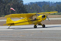 N19512 @ KWVI - 1937 Taylor J-2 painted as NC19512 taxiing @ Watsonville Fly-In - by Steve Nation